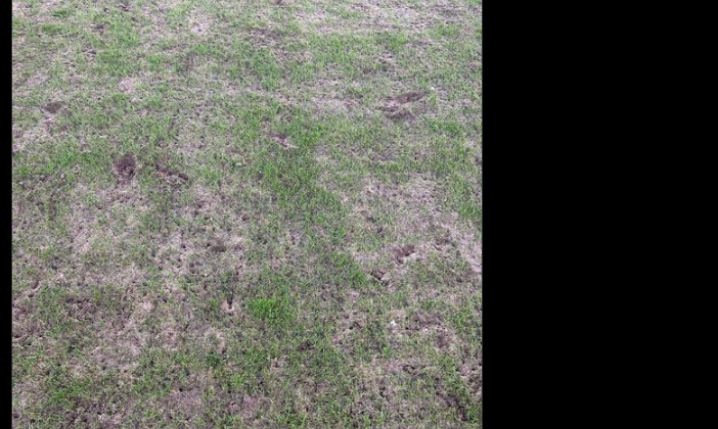 Tak wyglądało BOISKO po meczu Radomiak - Legia xD